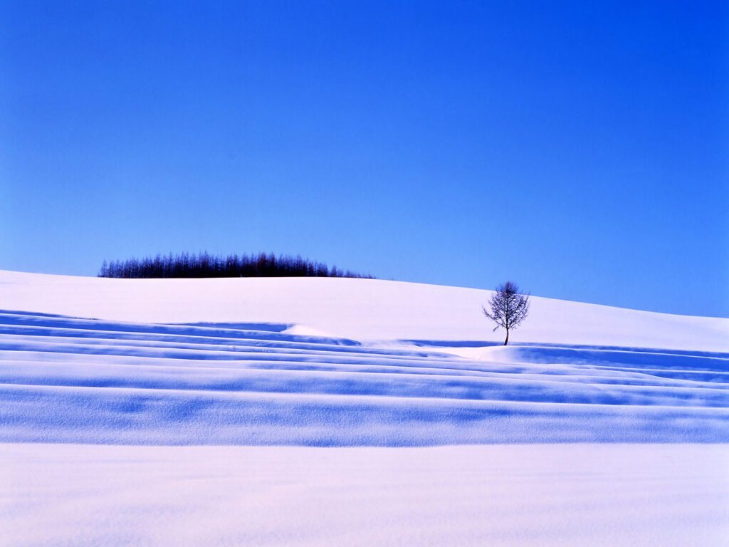 Hokkaido Tourism - Biei winter2