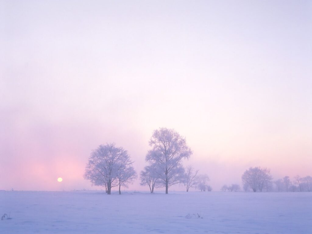 Hokkaido Tourism - hoarfrost