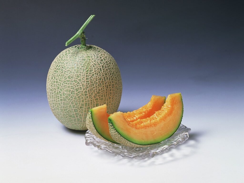 Hokkaido Tourism - hokkaido melon