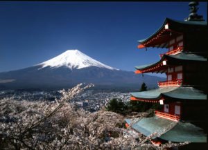 Testimonial - Mt. Fuji