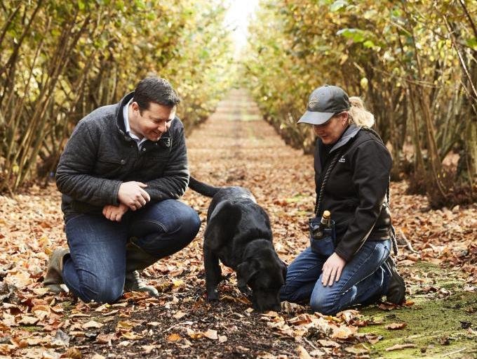 Manjimup truffles hunting cropped