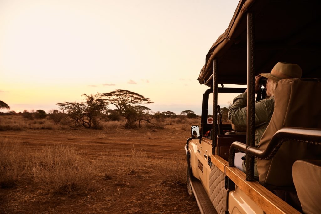 Safari game drive